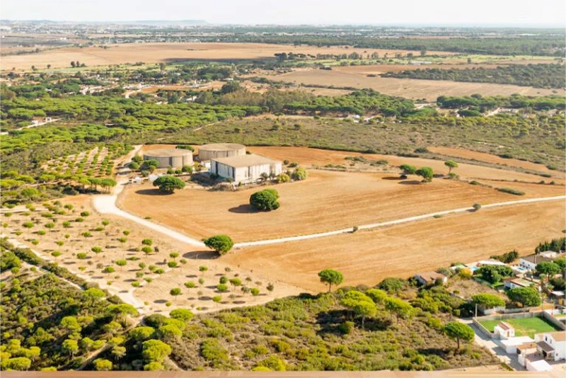 Real Estate Development